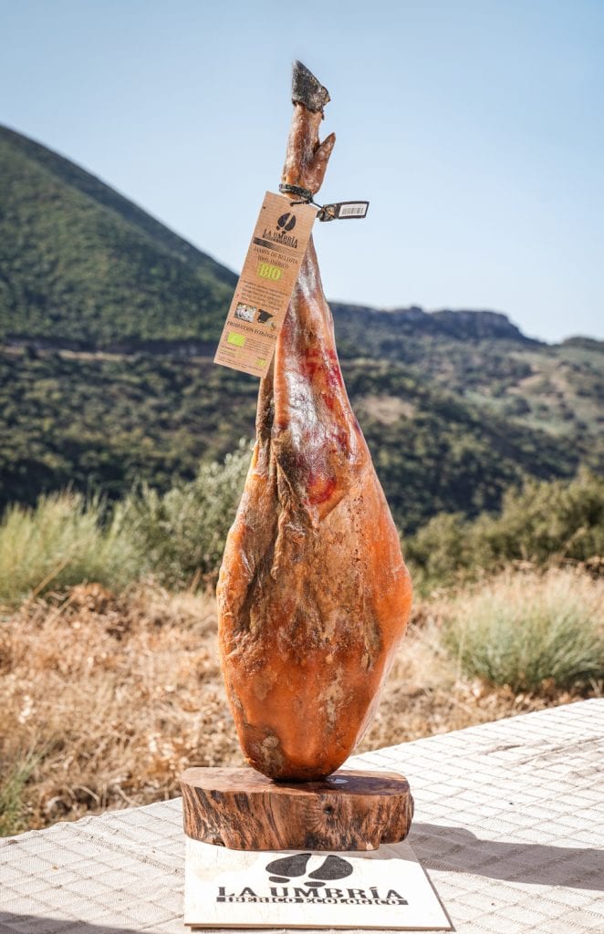 Jamón de bellota 100% ibérico ecológico BIO. Edición Limitada.